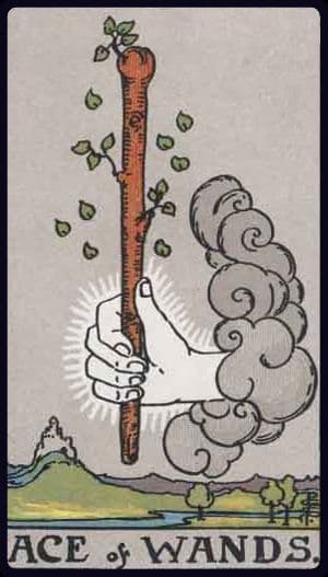 Clarymind Tarot Card